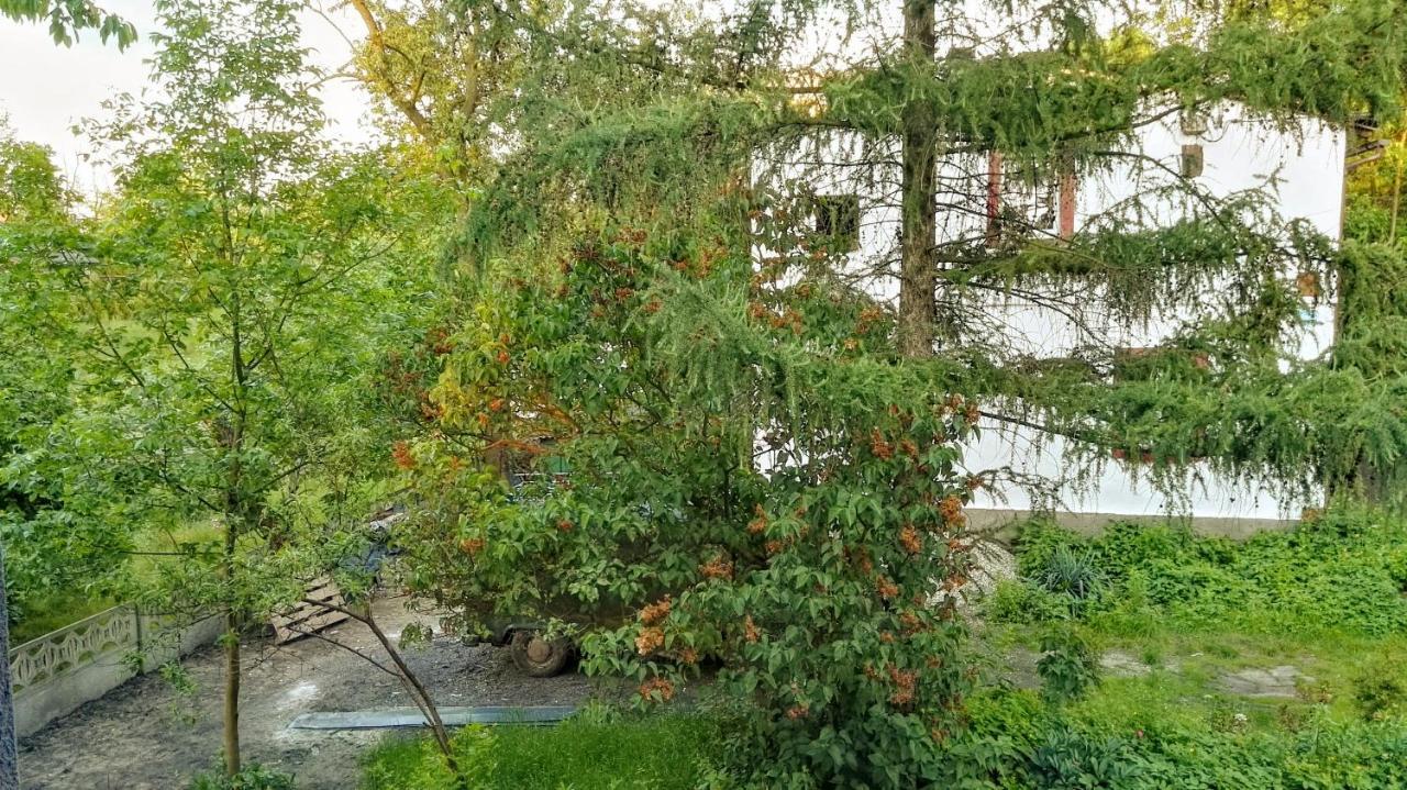 Familuks - Apartementy Katowice Ligota エクステリア 写真